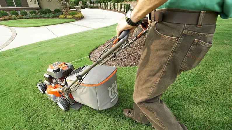 How to Maintain Your Lawn